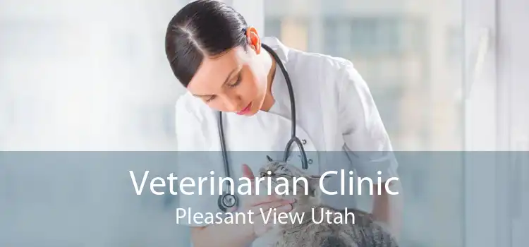 Veterinarian Clinic Pleasant View Utah