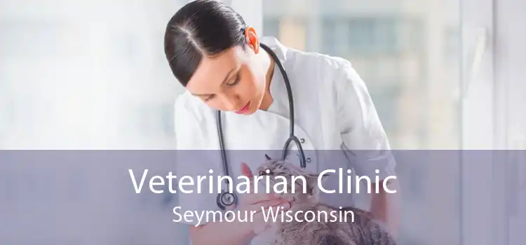 Veterinarian Clinic Seymour Wisconsin
