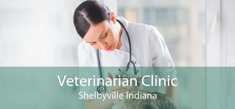 Veterinarian Clinic Shelbyville Indiana