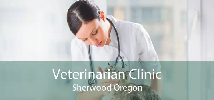 Veterinarian Clinic Sherwood Oregon