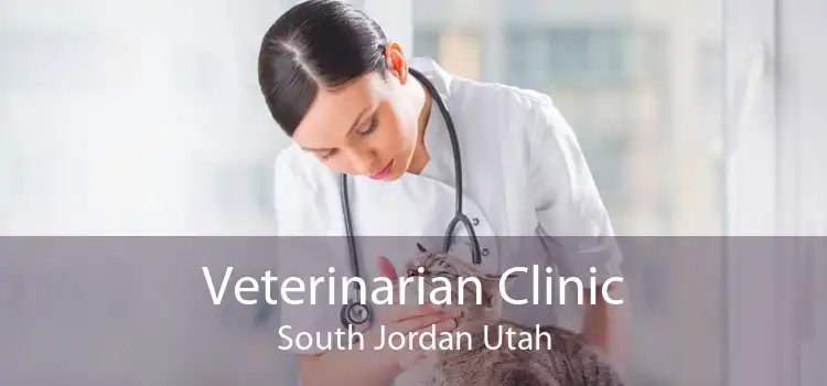 Veterinarian Clinic South Jordan Utah