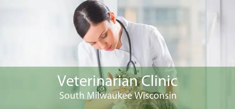 Veterinarian Clinic South Milwaukee Wisconsin