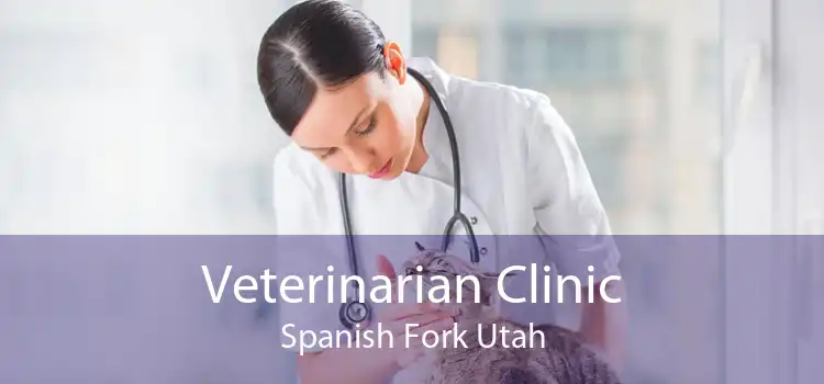 Veterinarian Clinic Spanish Fork Utah