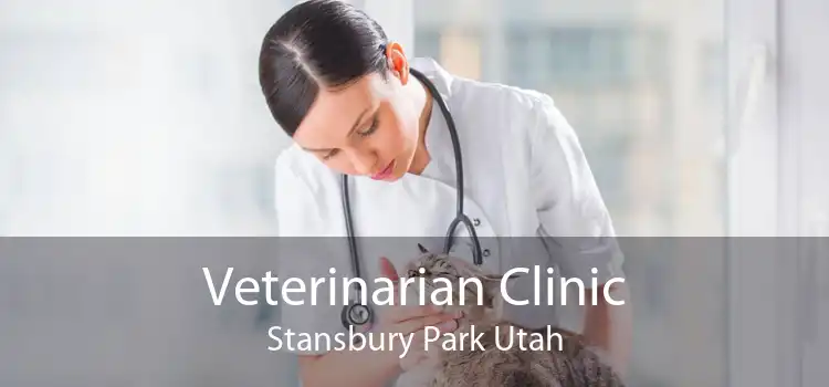 Veterinarian Clinic Stansbury Park Utah