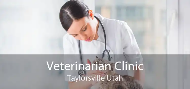 Veterinarian Clinic Taylorsville Utah