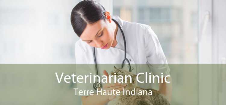 Veterinarian Clinic Terre Haute Indiana