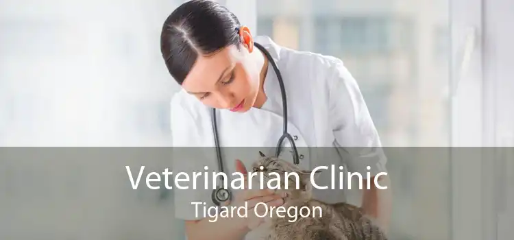 Veterinarian Clinic Tigard Oregon