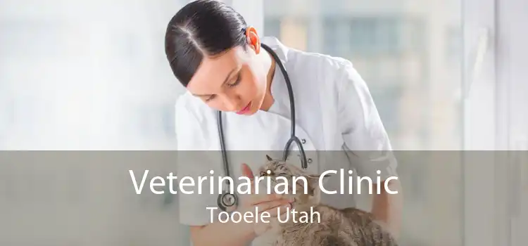 Veterinarian Clinic Tooele Utah