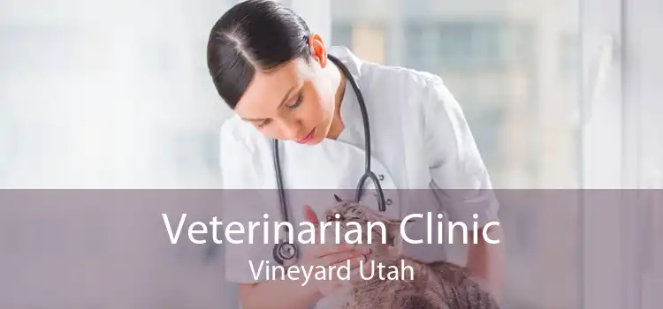Veterinarian Clinic Vineyard Utah