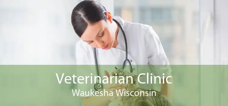 Veterinarian Clinic Waukesha Wisconsin