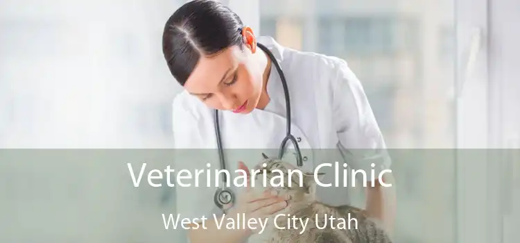Veterinarian Clinic West Valley City Utah